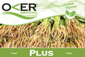 OVERTIS PLUS