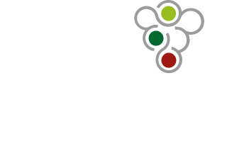 vinja white logo footer.png
